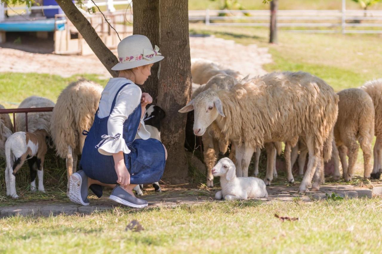Oon Valley Farm Stay San Kamphaeng Bagian luar foto