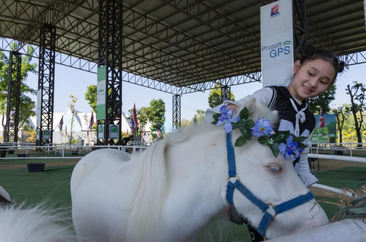 Oon Valley Farm Stay San Kamphaeng Bagian luar foto